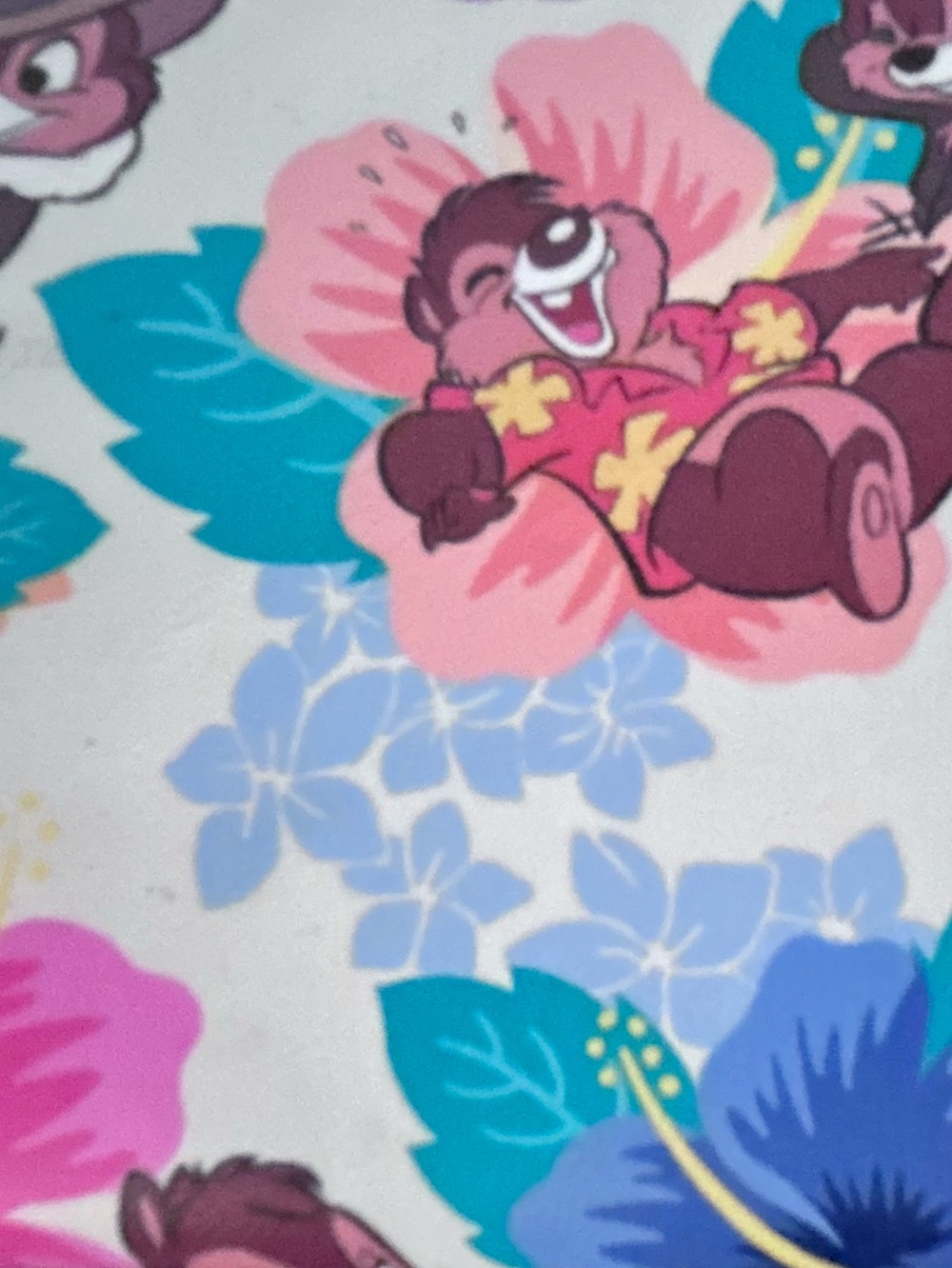Loungefly Disney Chip 'n Dale Multicolor Small Hawaiian Floral Zipper Wallet